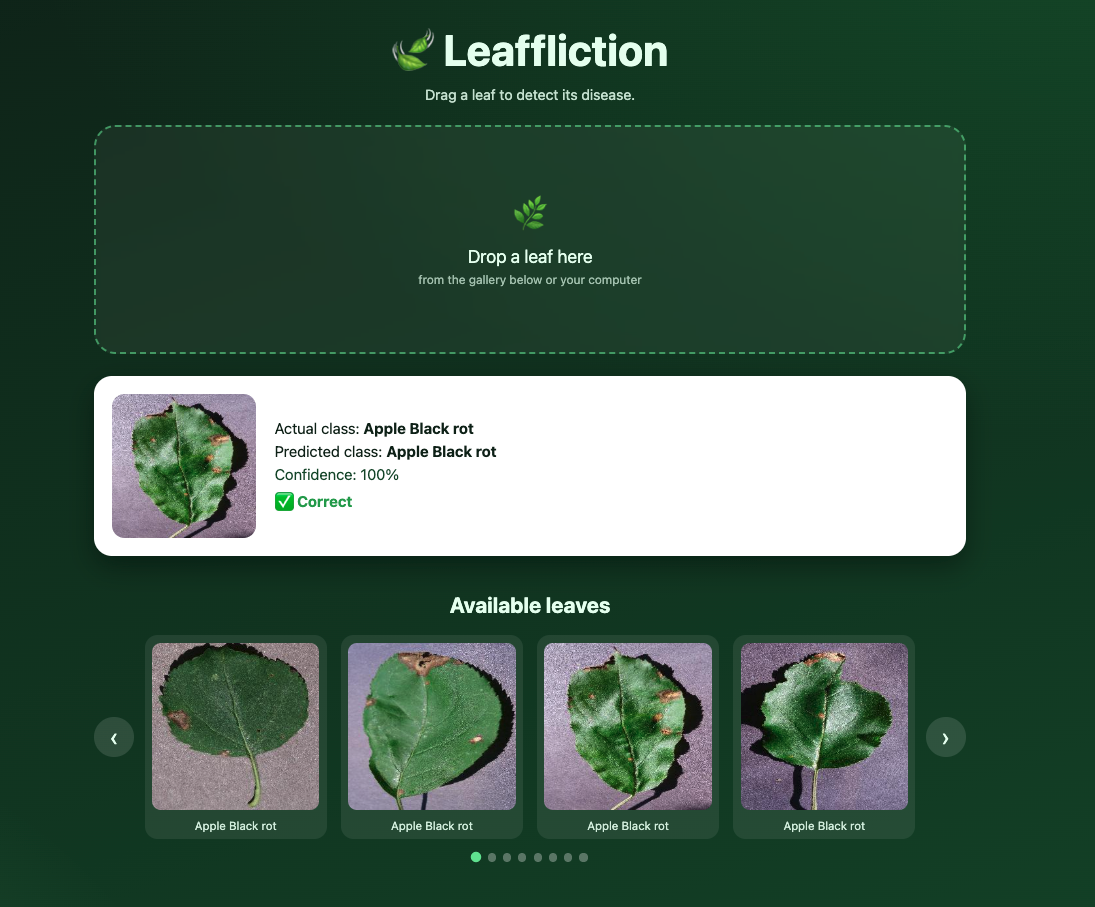 Leaffliction screenshot 2